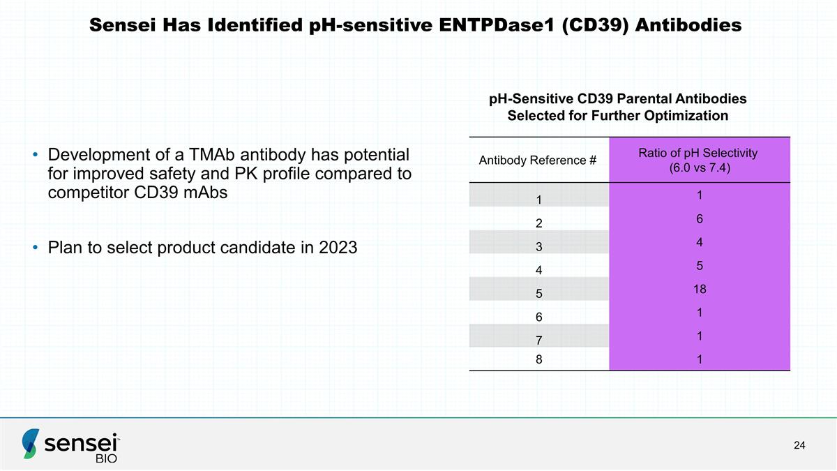 Slide 24