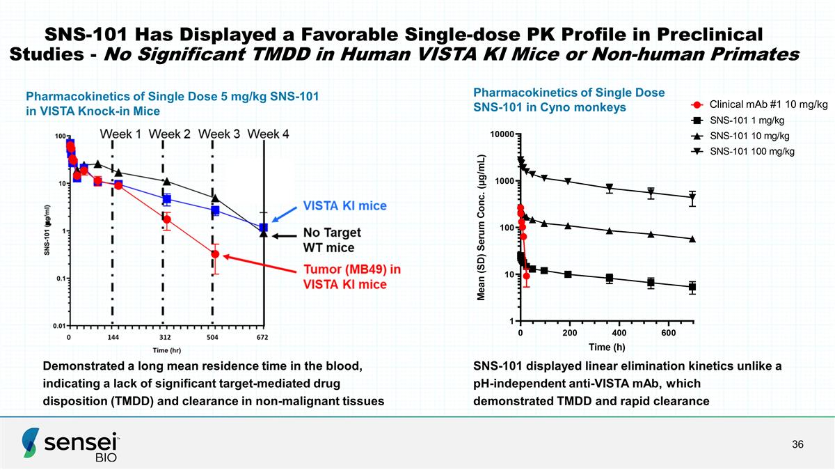 Slide 36