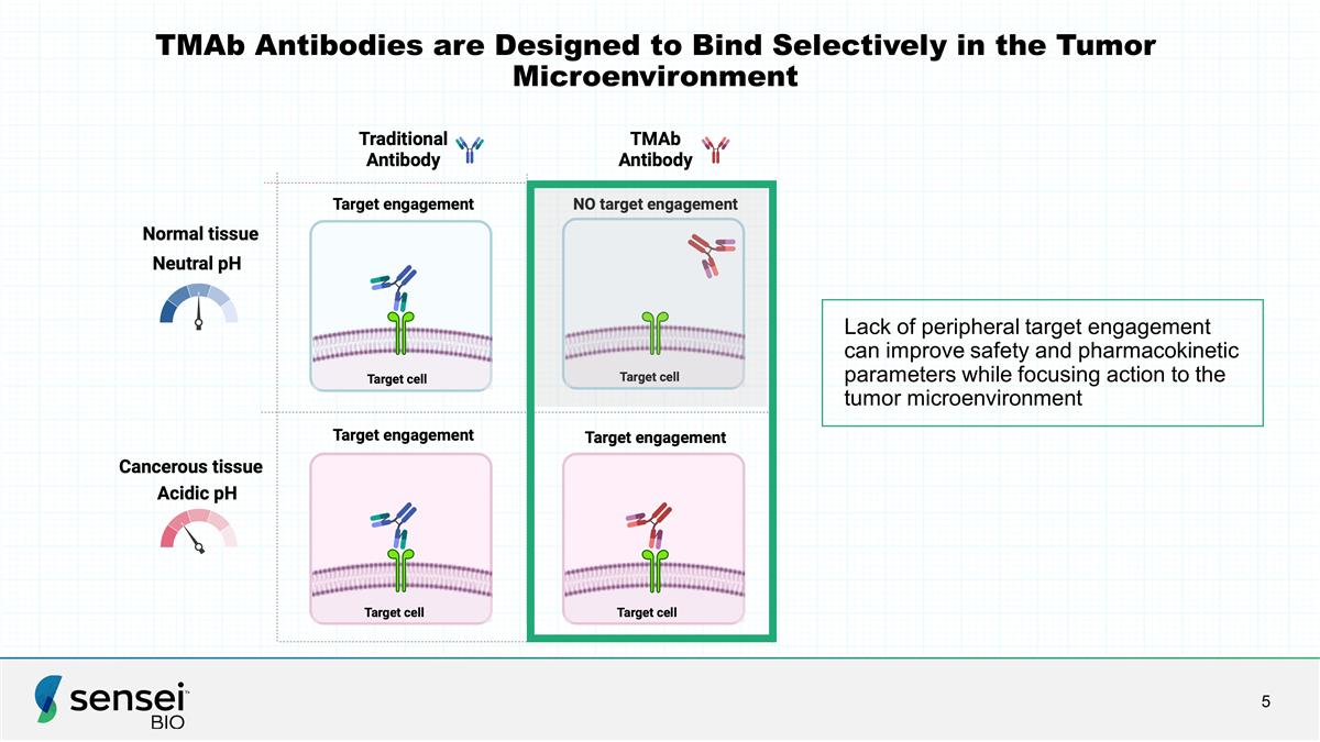 Slide 5