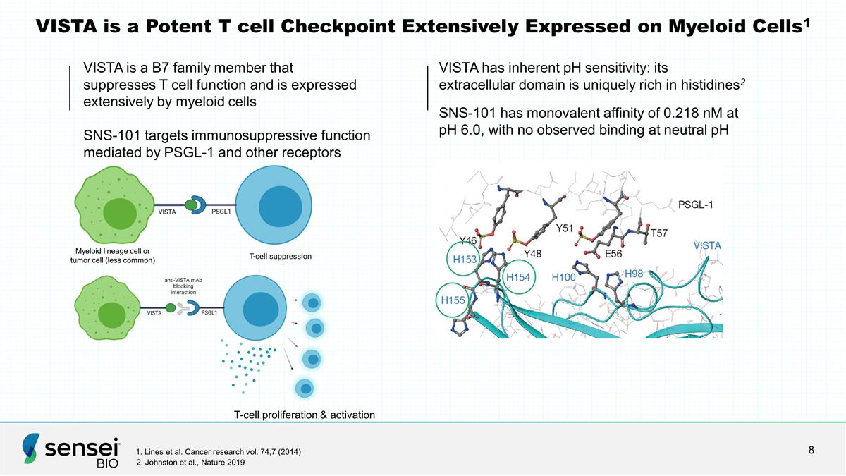 Slide 8