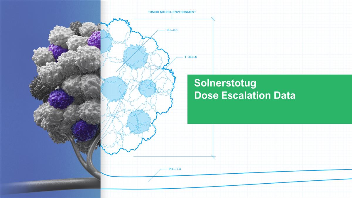 Slide 7