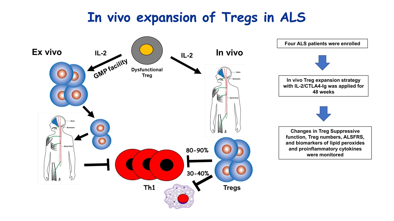 Slide 7