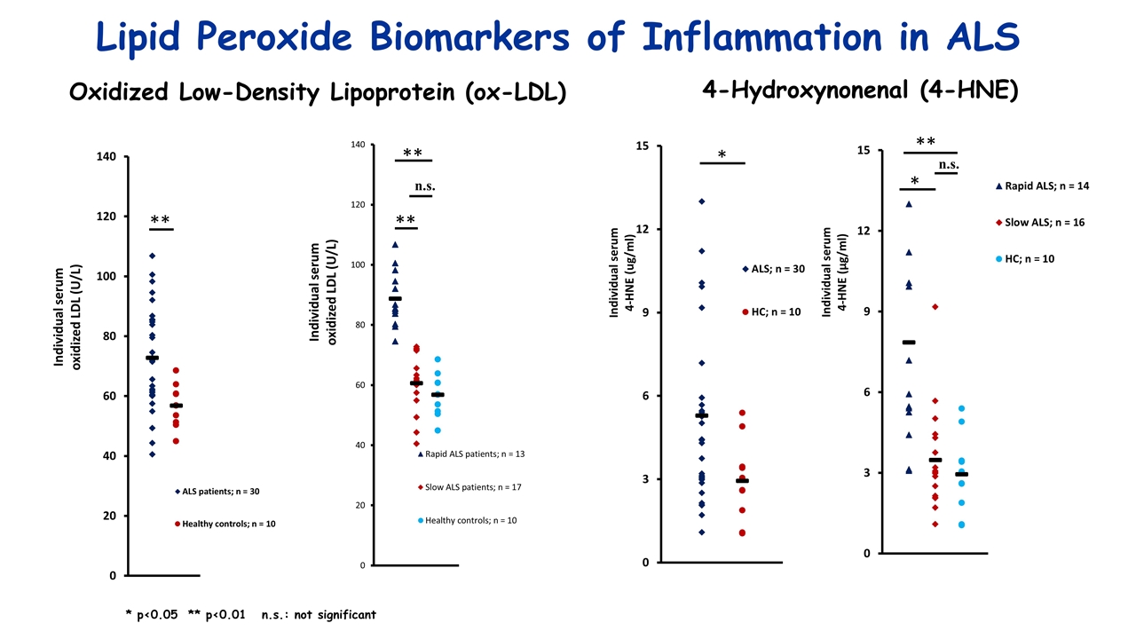 Slide 8