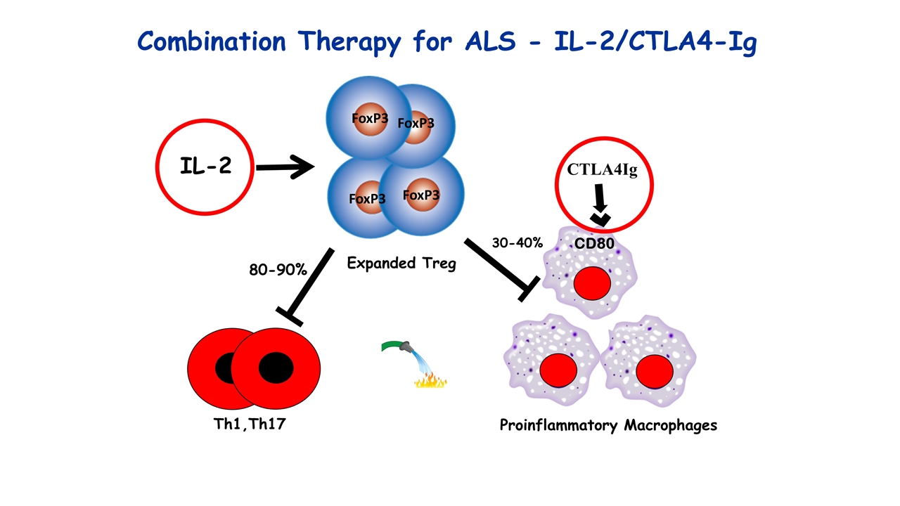 Slide 9