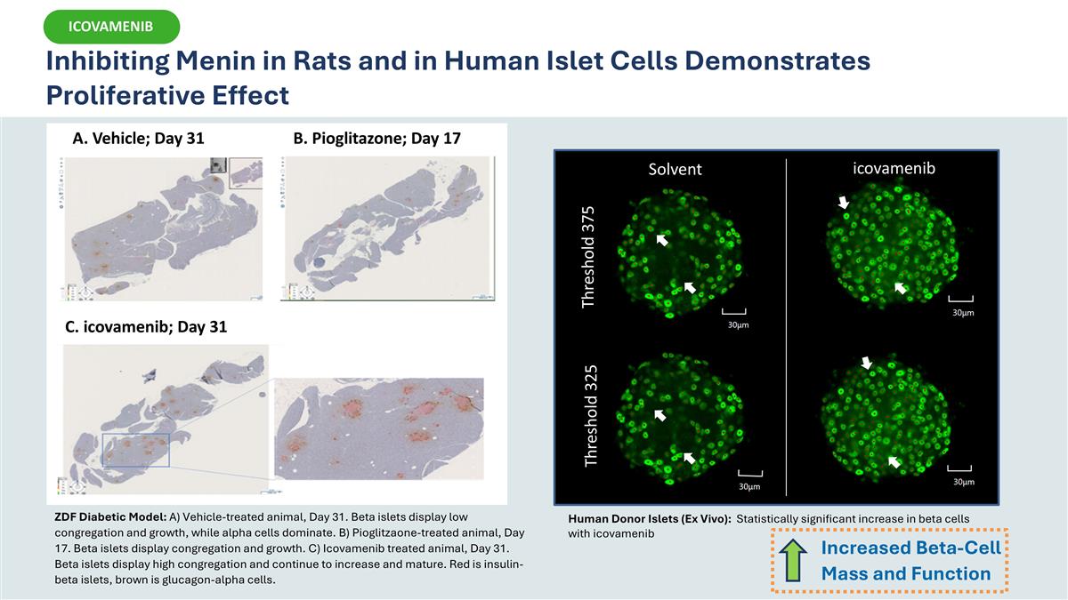 Slide 11