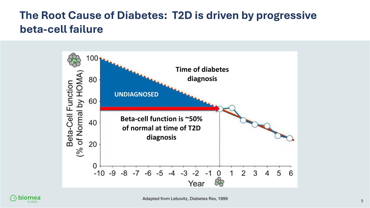 Slide 5