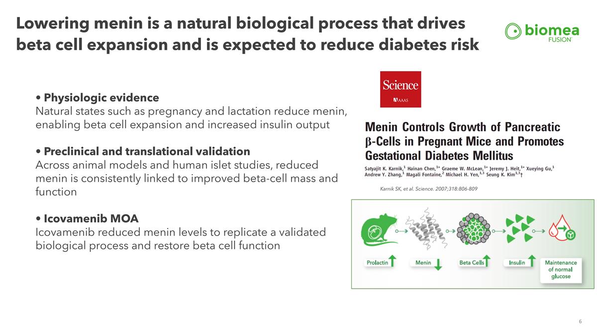 Slide 6