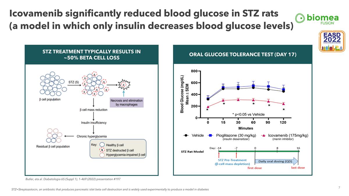 Slide 7