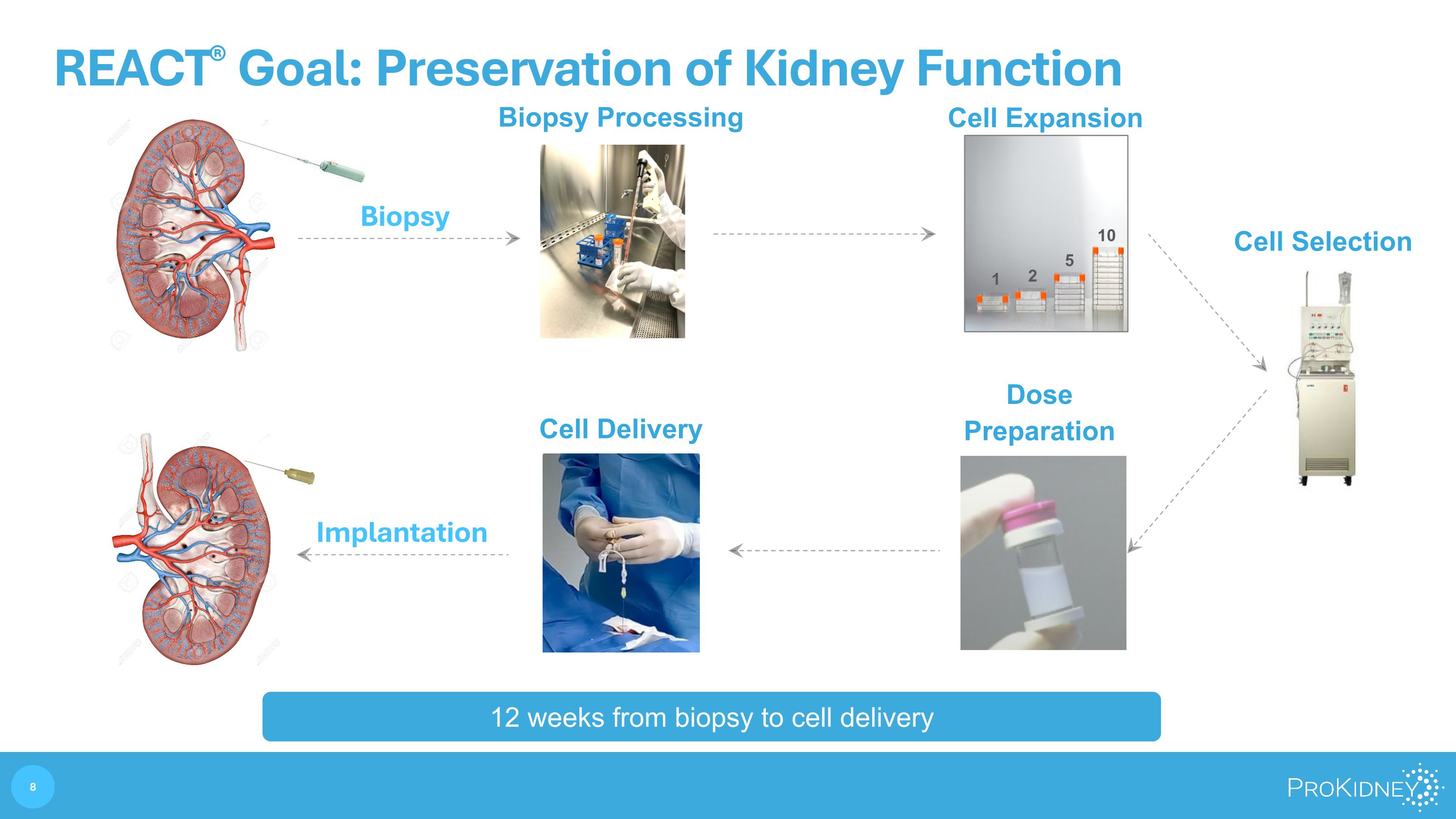 Slide 8