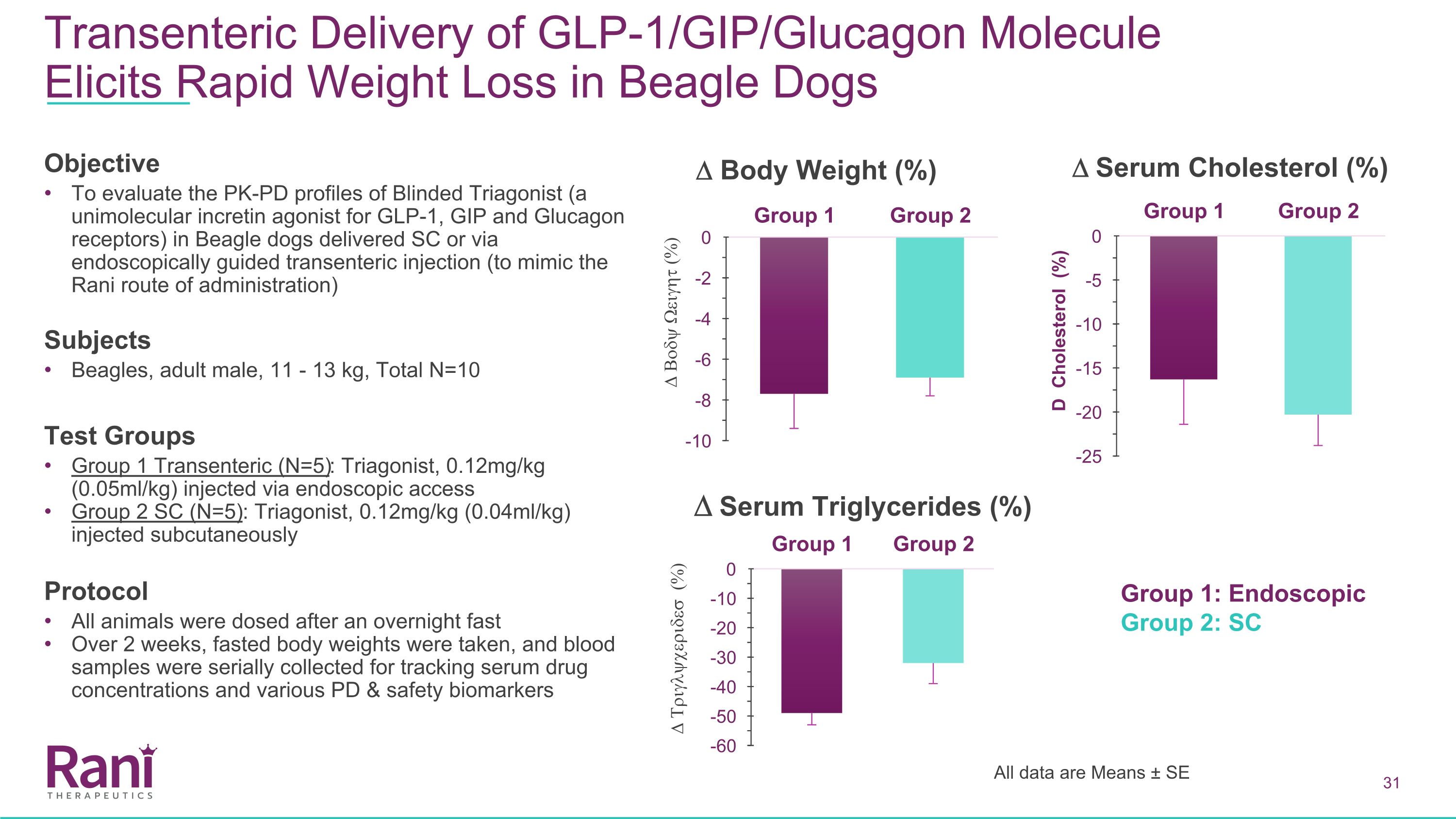 Slide 31