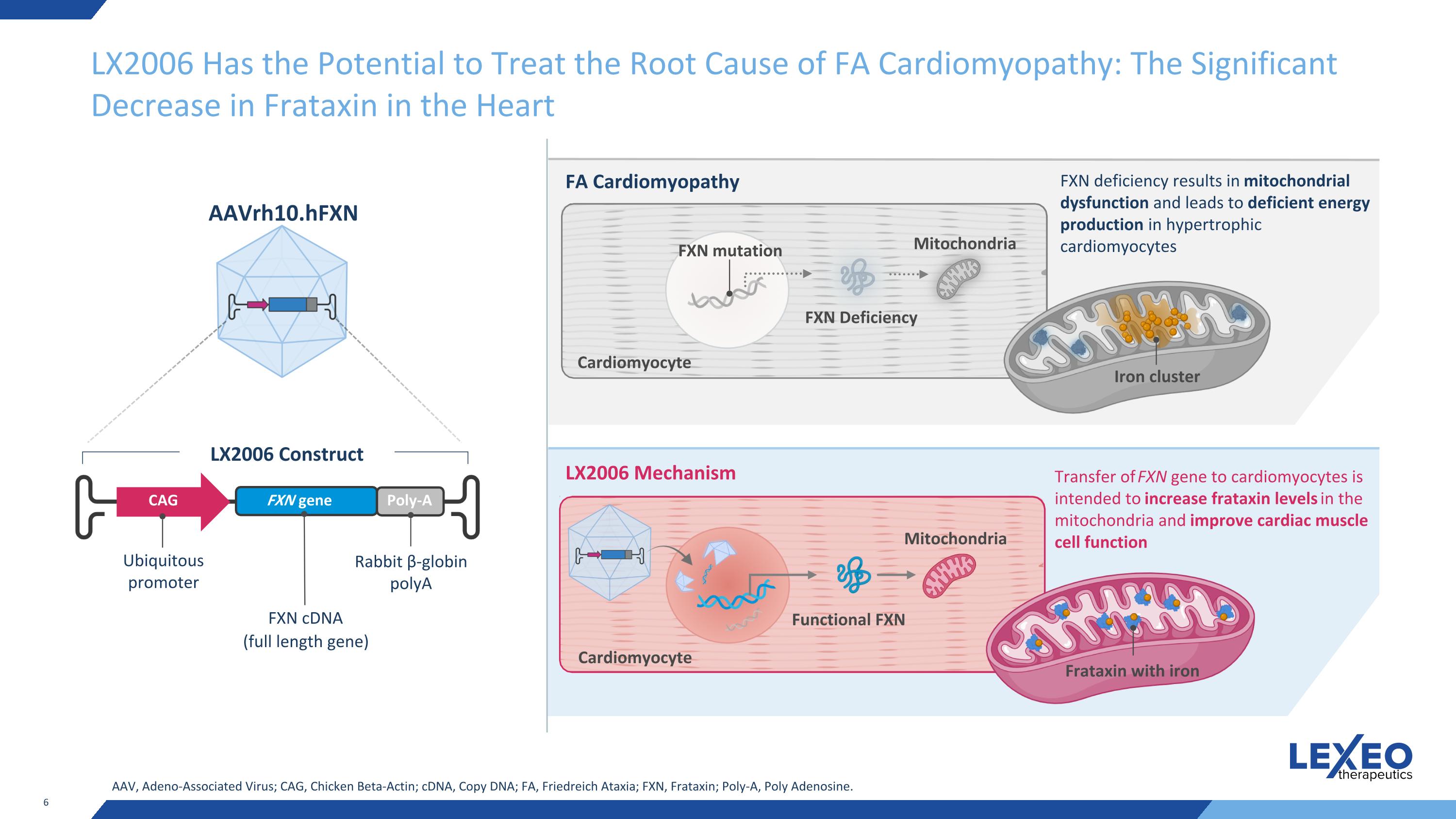 Slide 6