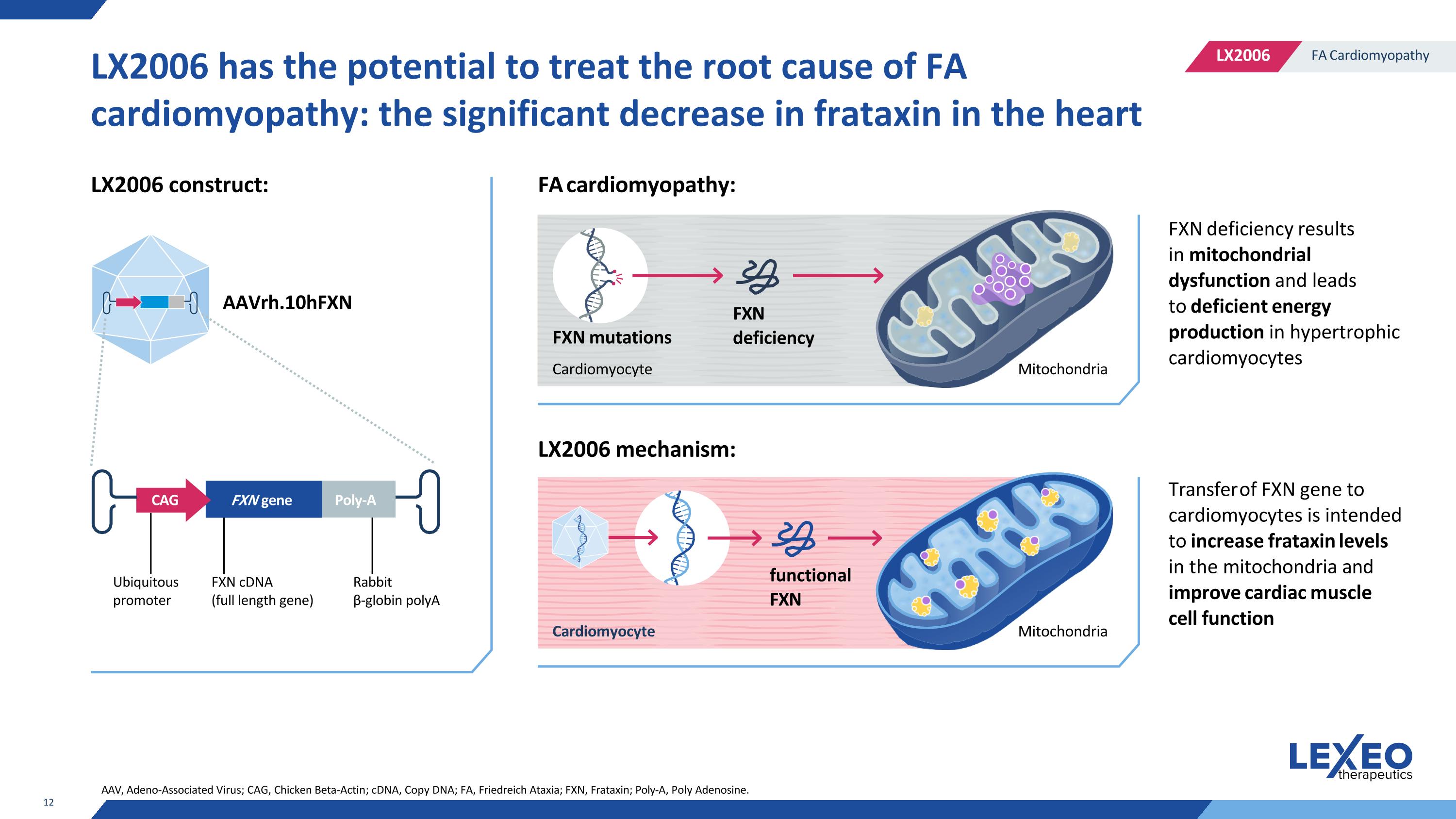 Slide 12