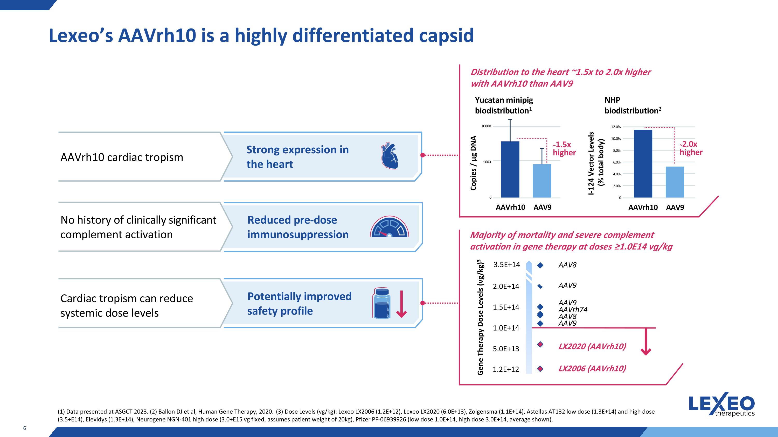 Slide 6