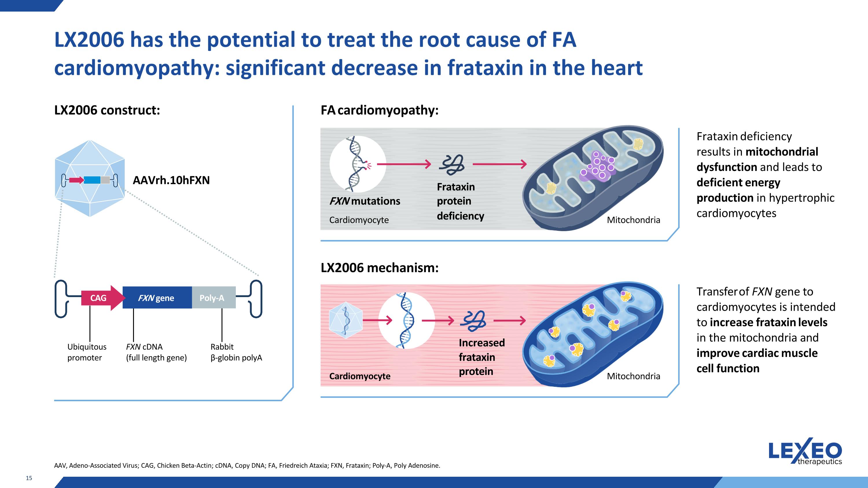Slide 15