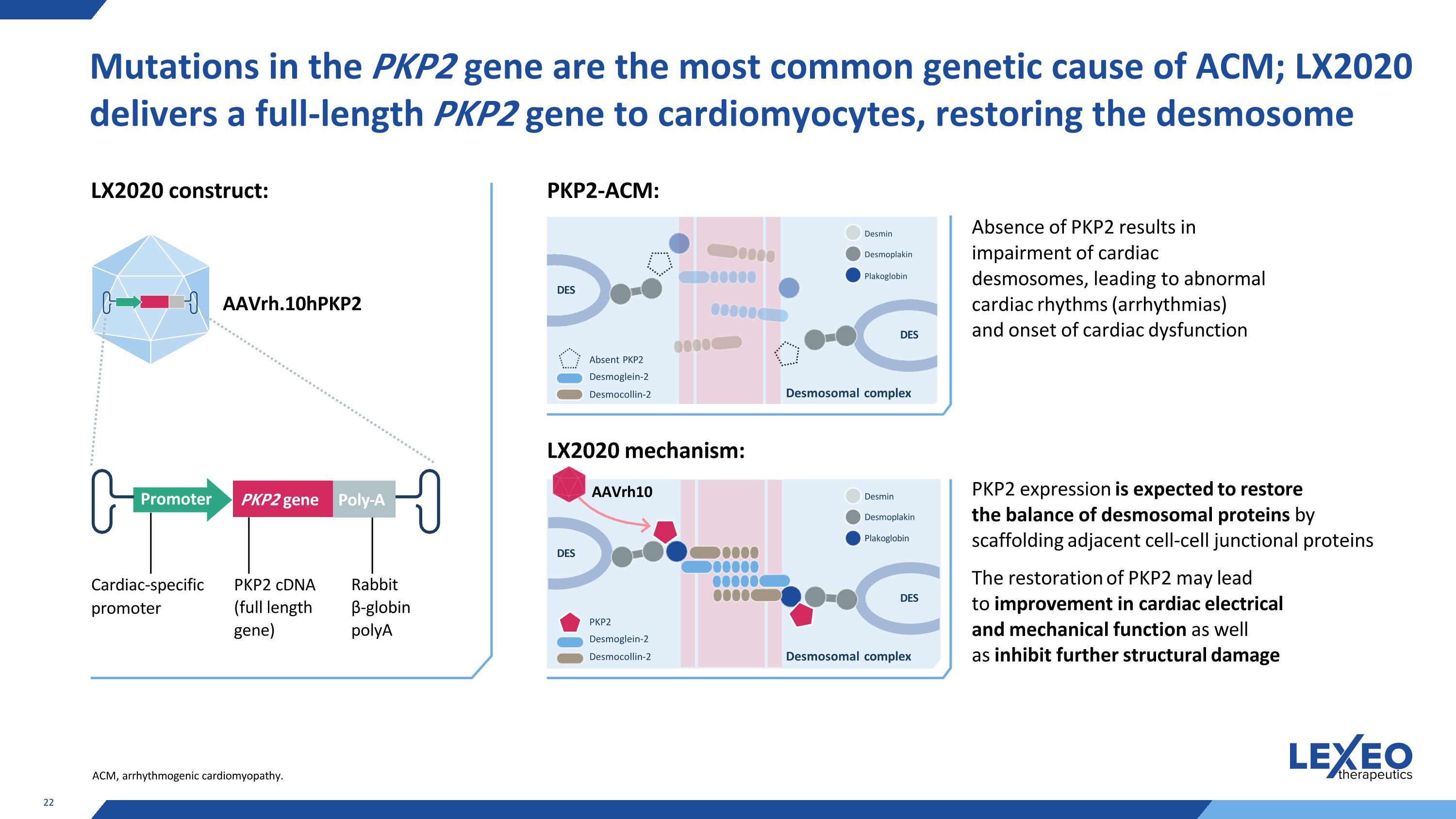 Slide 22