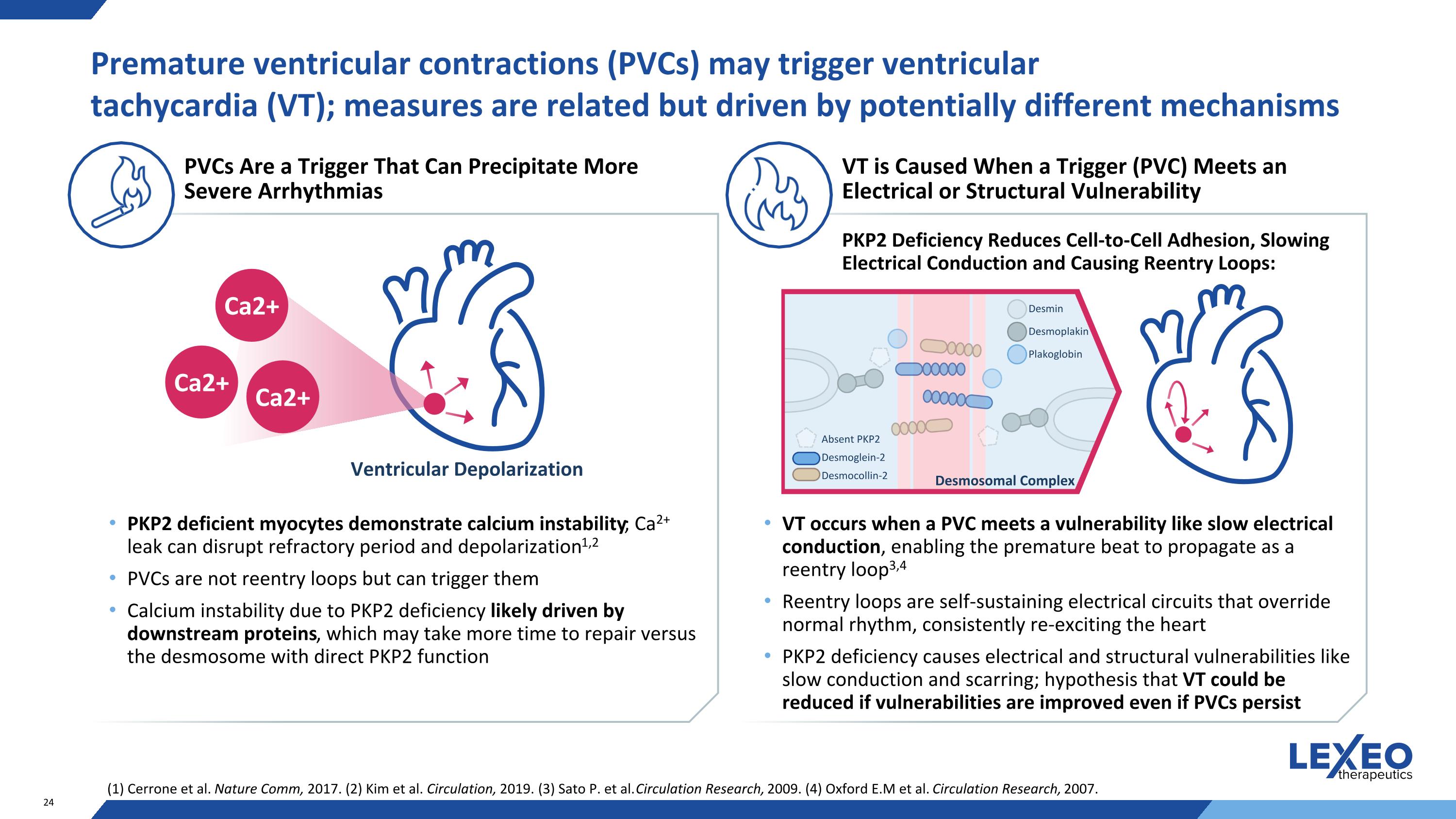 Slide 24