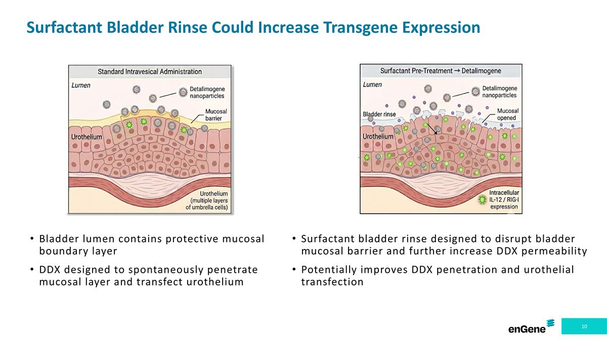 Slide 10