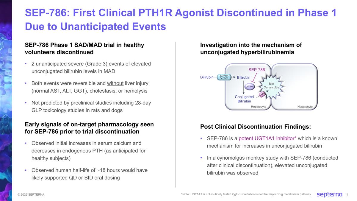 Slide 11