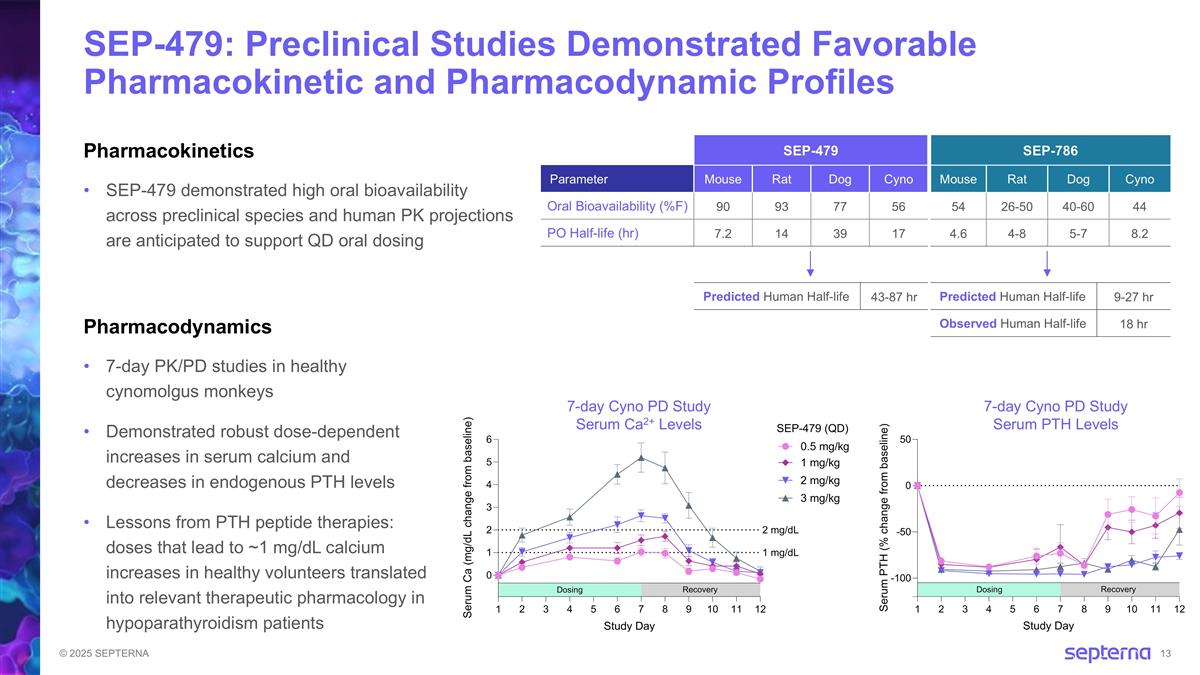 Slide 13