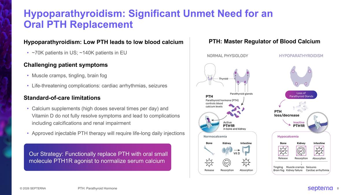 Slide 8