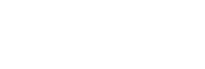 firstbuseylogo.jpg