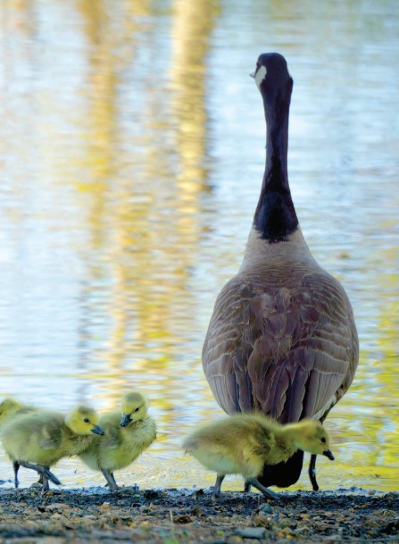centerpic0323.jpg