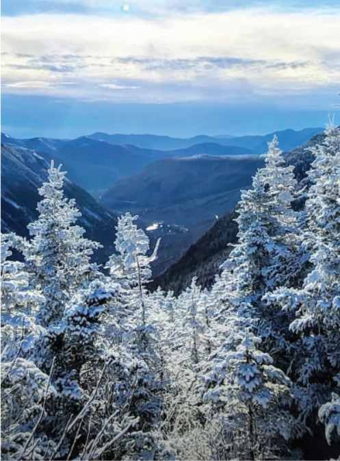 centerpic1225.jpg