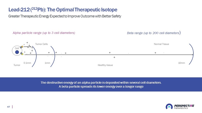 slide47.jpg