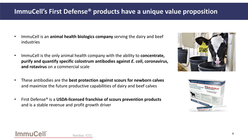 slide04.jpg