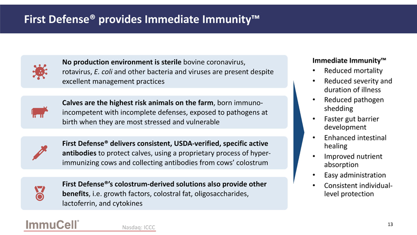 slide13.jpg